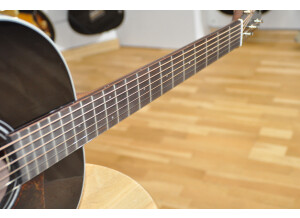 Guild DS-240 Memoir (29070)