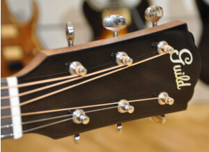 Guild DS-240 Memoir (96627)