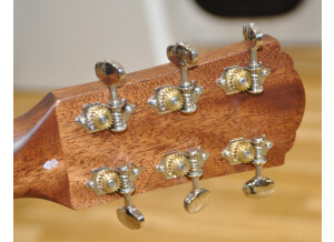 Guild DS-240 Memoir (82480)