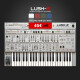 Lush 2 Lush 2