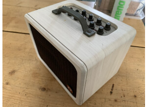 Zt Amplifiers Lunchbox Acoustic