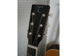 Tanglewood TW60 SC VS E (94416)