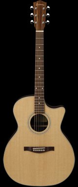 Eastman AC222CE