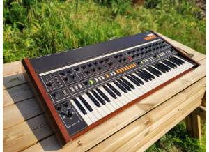 350231699 1188304478499993 8251632231284651765 n