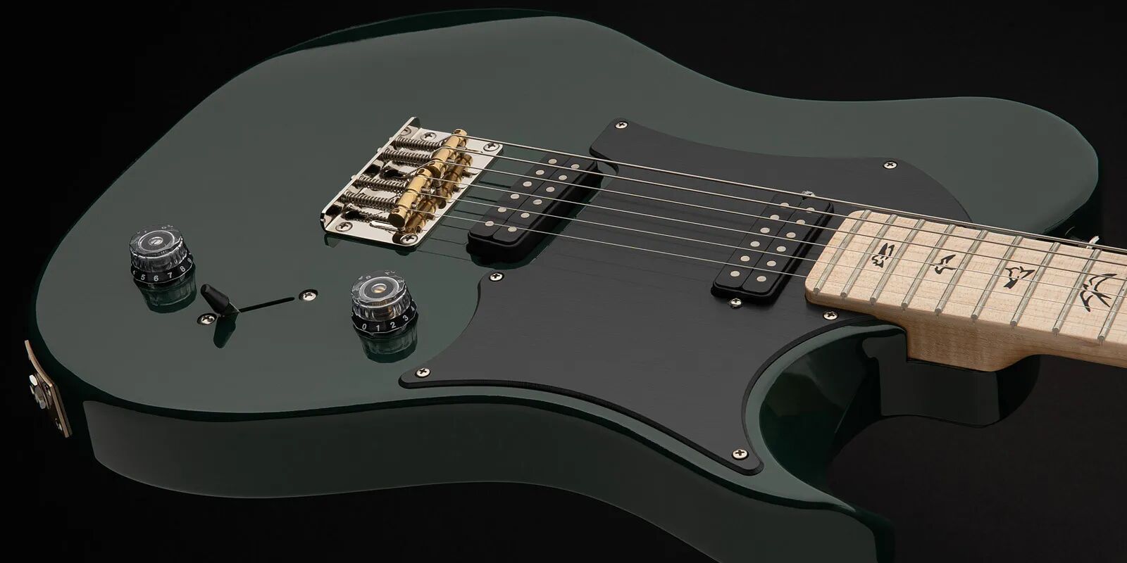 Myles Kennedy signature Detail