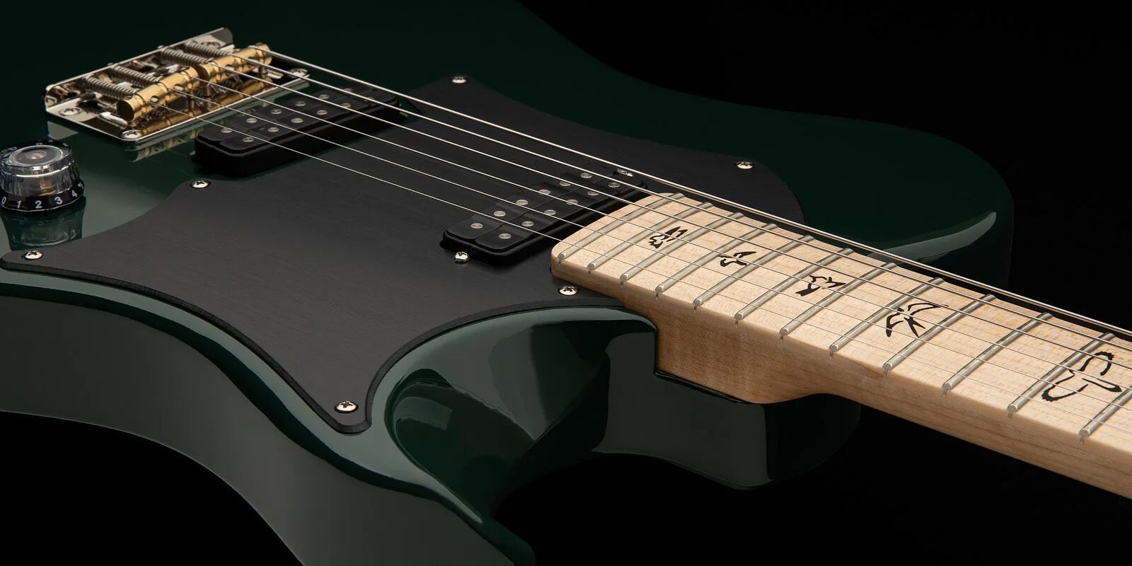 Myles Kennedy signature Detail3