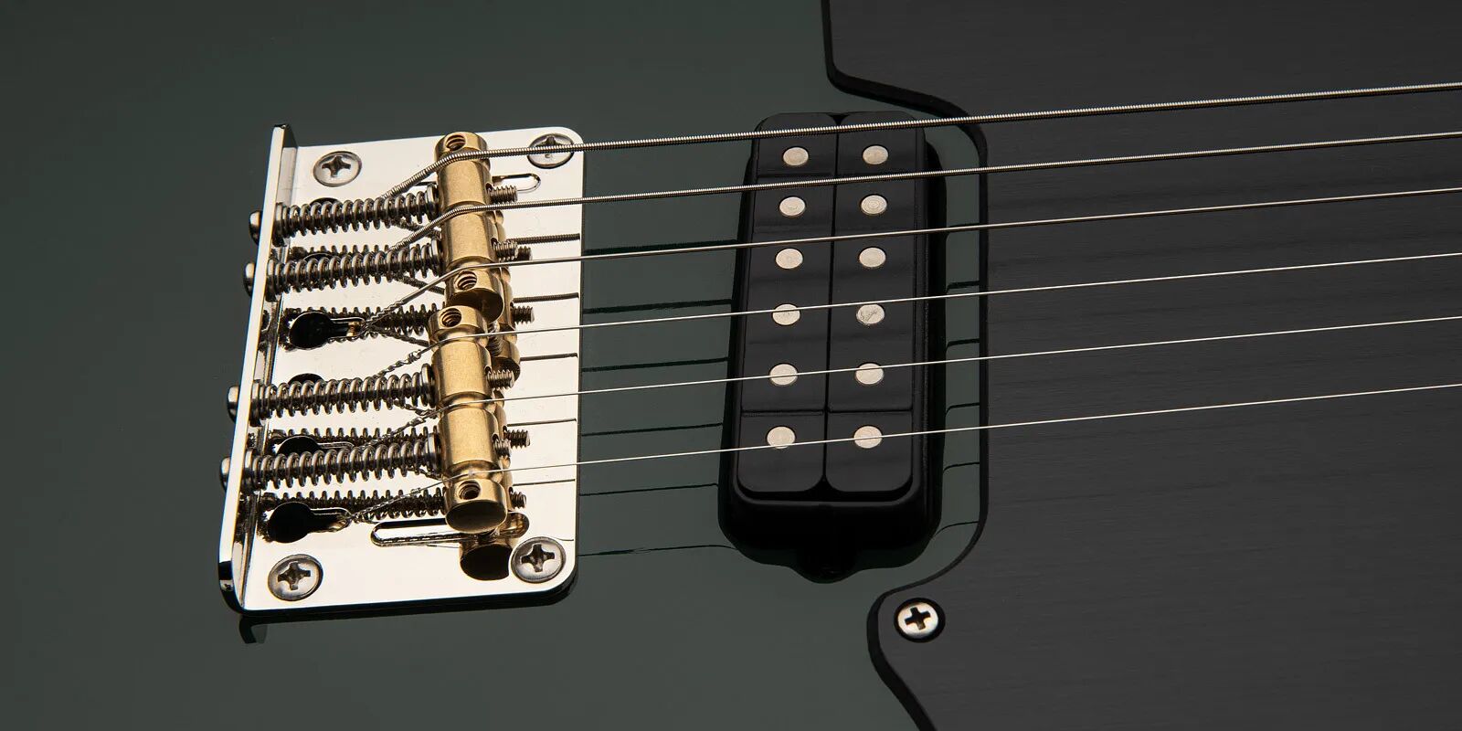 Myles Kennedy signature Detail4