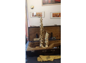Selmer ALTO SUPER ACTION II (95095)