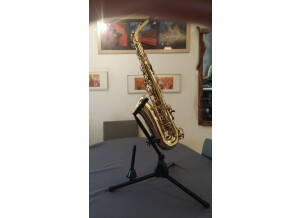 Selmer ALTO SUPER ACTION II (67589)