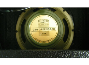 Celestion G10 Greenback (51911)