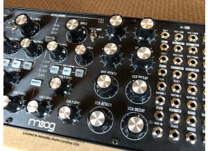 Moog Music Subharmonicon (65511)