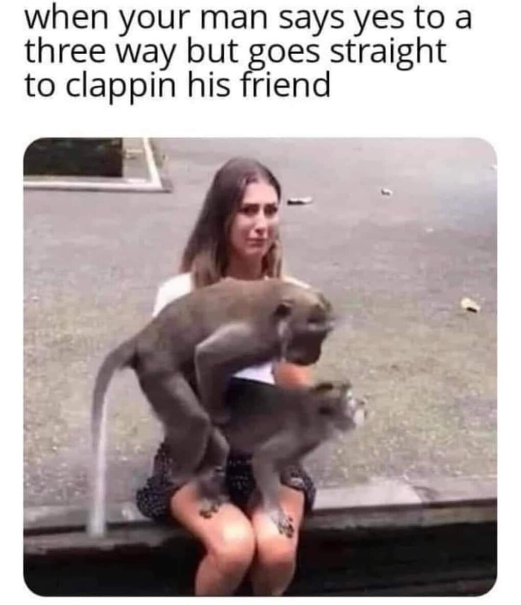 5733496.jpg 5733496.jpg