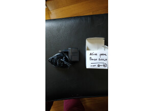 ProCo Sound RAT Solo (70030)