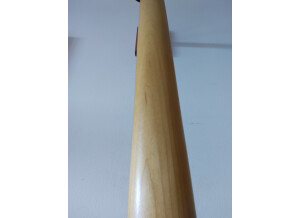 Epiphone EM-1 Rebel (82194)