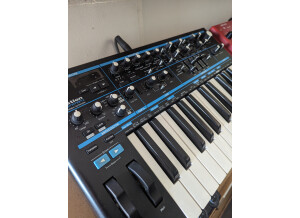 PXL 20230626 092306520