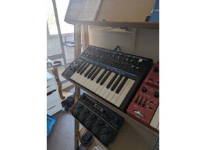 PXL 20230626 092247996