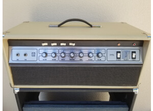 Ampeg VT-40 (16257)