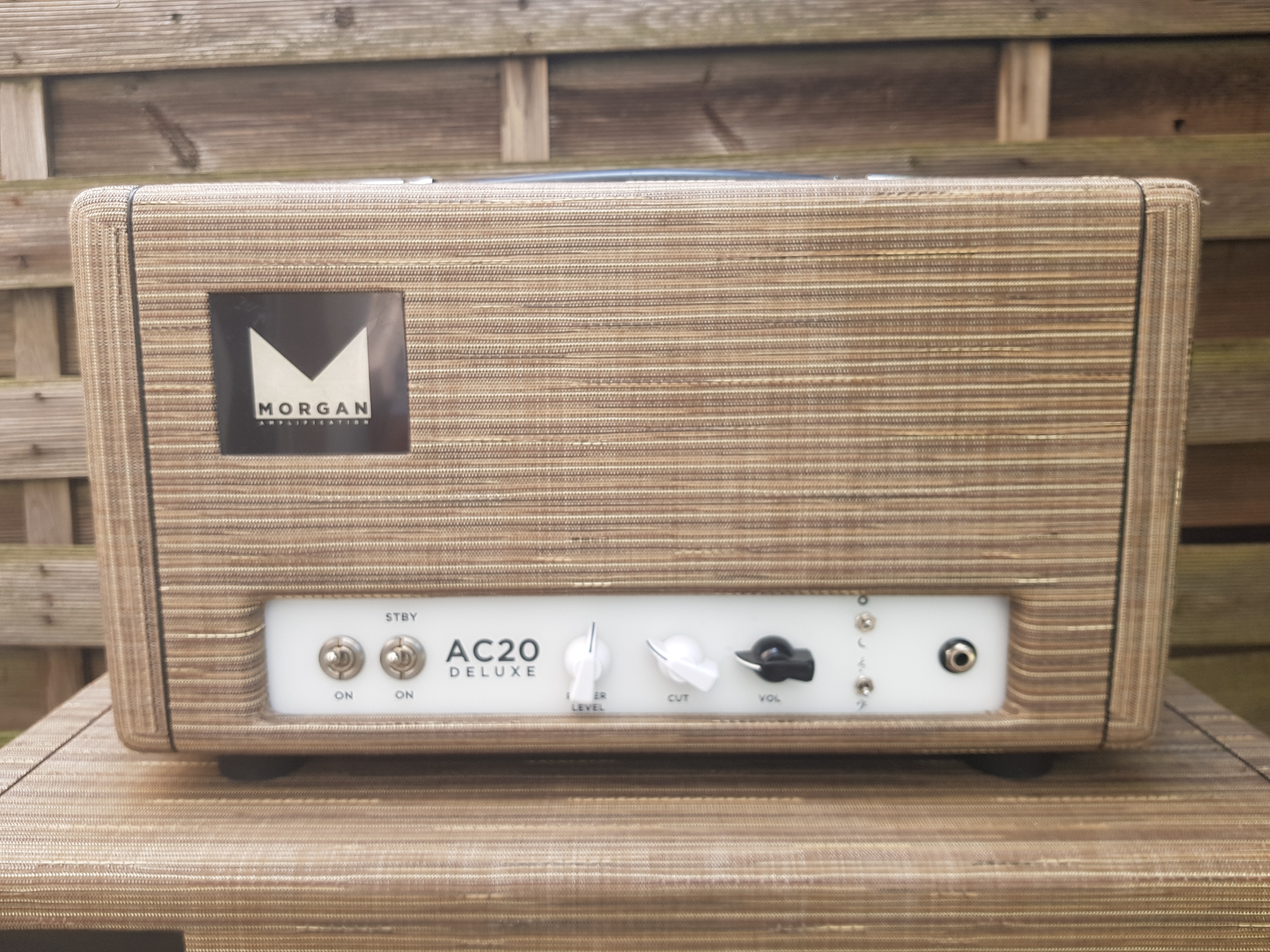 Morgan Amplification AC20 (83625)