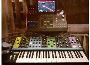 Moog Music Matriarch (95895)