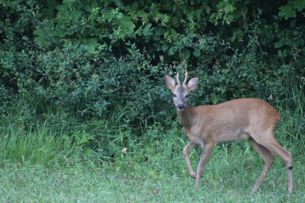 5734970.jpg 5734970.jpg