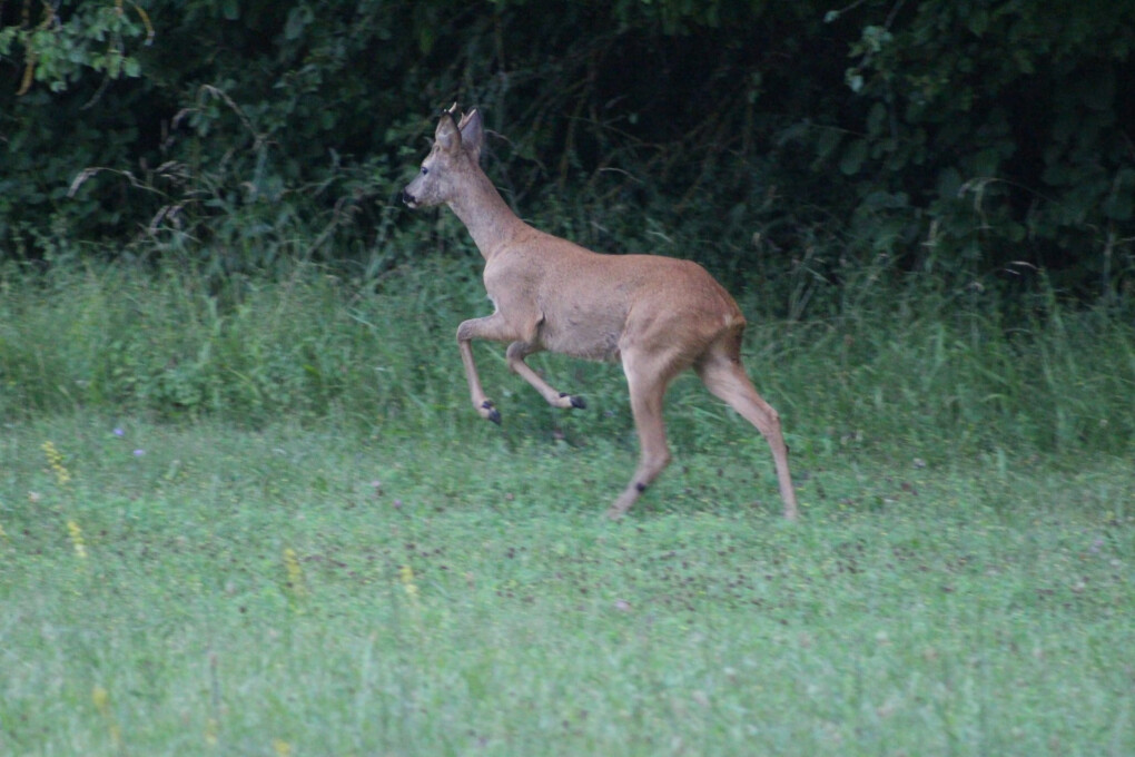 5734971.jpg 5734971.jpg