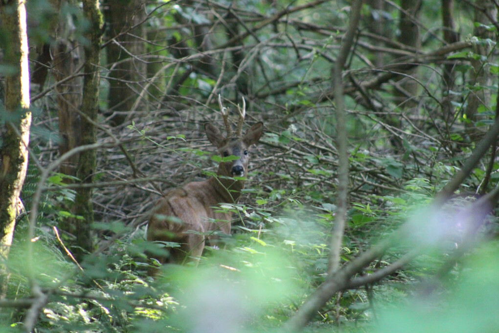 5734972.jpg 5734972.jpg