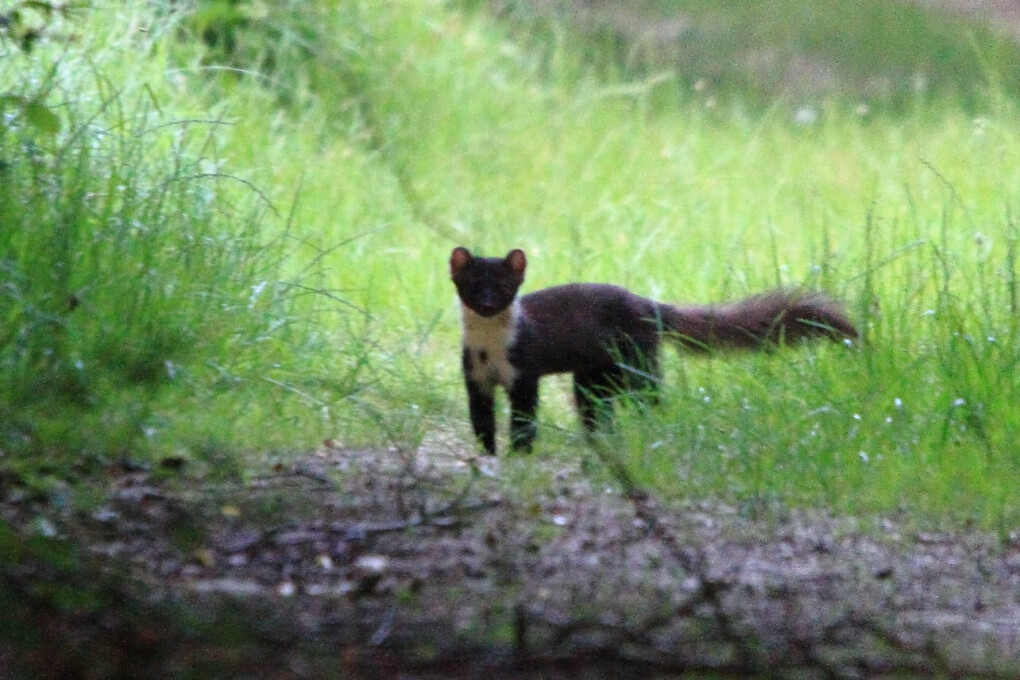 5734980.jpg 5734980.jpg