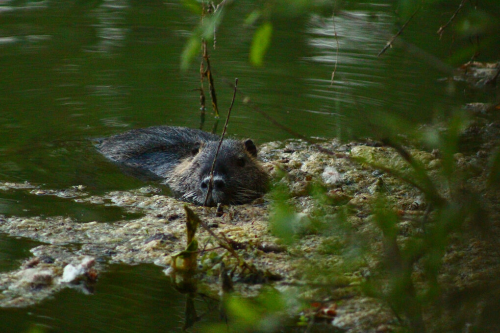 5734981.jpg 5734981.jpg