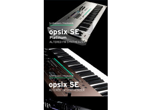 Korg Wavestate SE Platinum (26232)