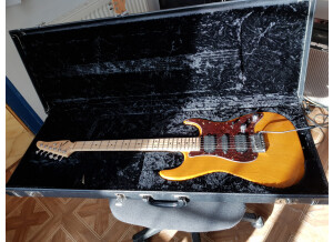 Tom Anderson Classic (51257)