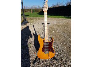 Tom Anderson Classic (18580)