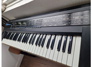 Roland D-50 (34613)
