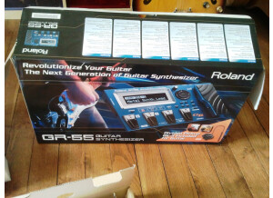 Roland GR-55GK (8200)