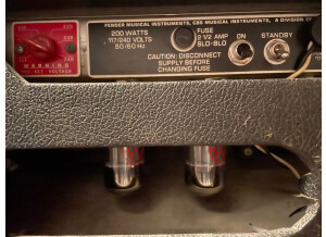 Fender Bassman Ten (56568)