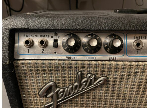 Fender Bassman Ten (42614)