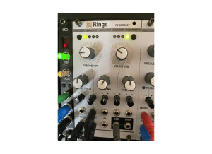 Mutable Instruments Rings (1063)