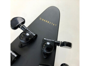 Epiphone Goth '58 Flying V (1736)