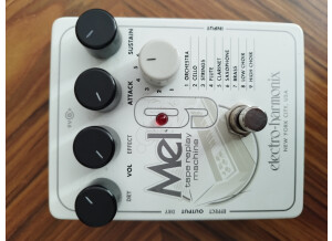 Electro-Harmonix Mel9 Tape Replay Machine (44133)