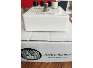 Electro-Harmonix Mel9 Tape Replay Machine (15598)