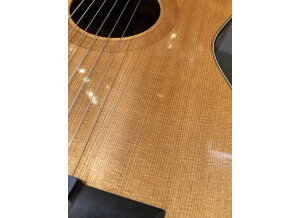 Taylor NS42CE (99034)