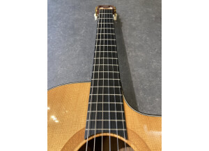 Taylor NS42CE (50036)