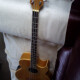 Electro-acoustic Bass Electro-acoustic Bass