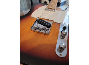 Prodipe Guitars TC80MA (39201)