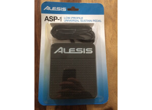 Alesis ASP-1