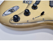 Fender Stratocaster Antigua (43015)