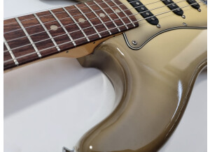 Fender Stratocaster Antigua (59335)