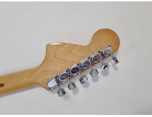 Fender Stratocaster Antigua (23521)