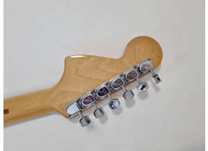Fender Stratocaster Antigua (23521)