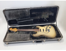 Fender Stratocaster Antigua (96095)