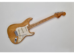 Fender Stratocaster [1965-1984] (80999)